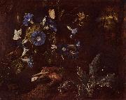 Blaue Winde, Krote und Insekten SCHRIECK, Otto Marseus van